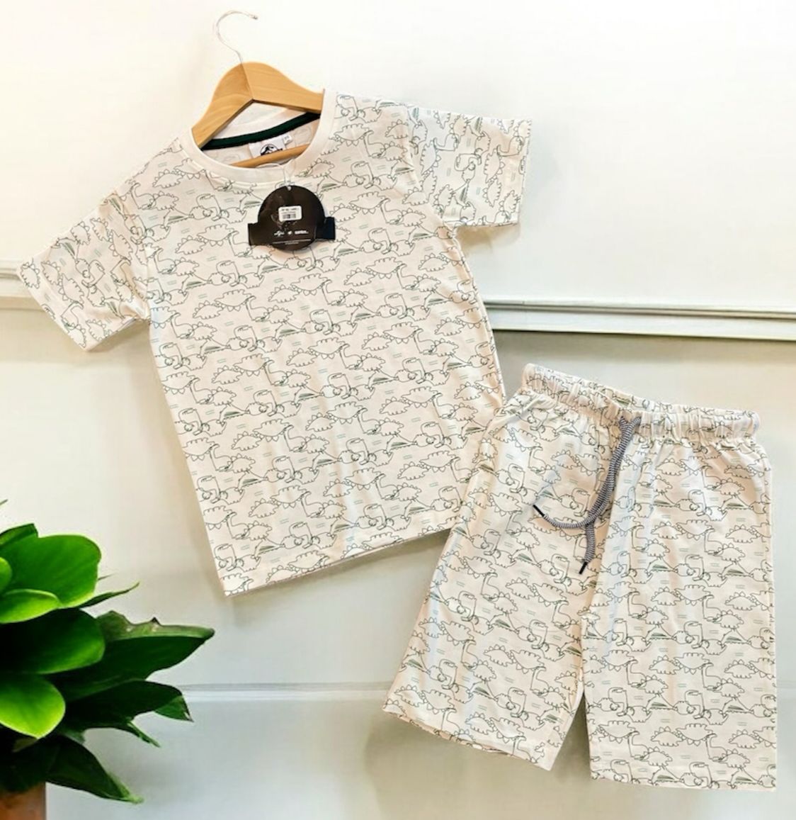 Shorts Sleeves Tshirt with Shorts Sets (Small Dinosaur) - sanright