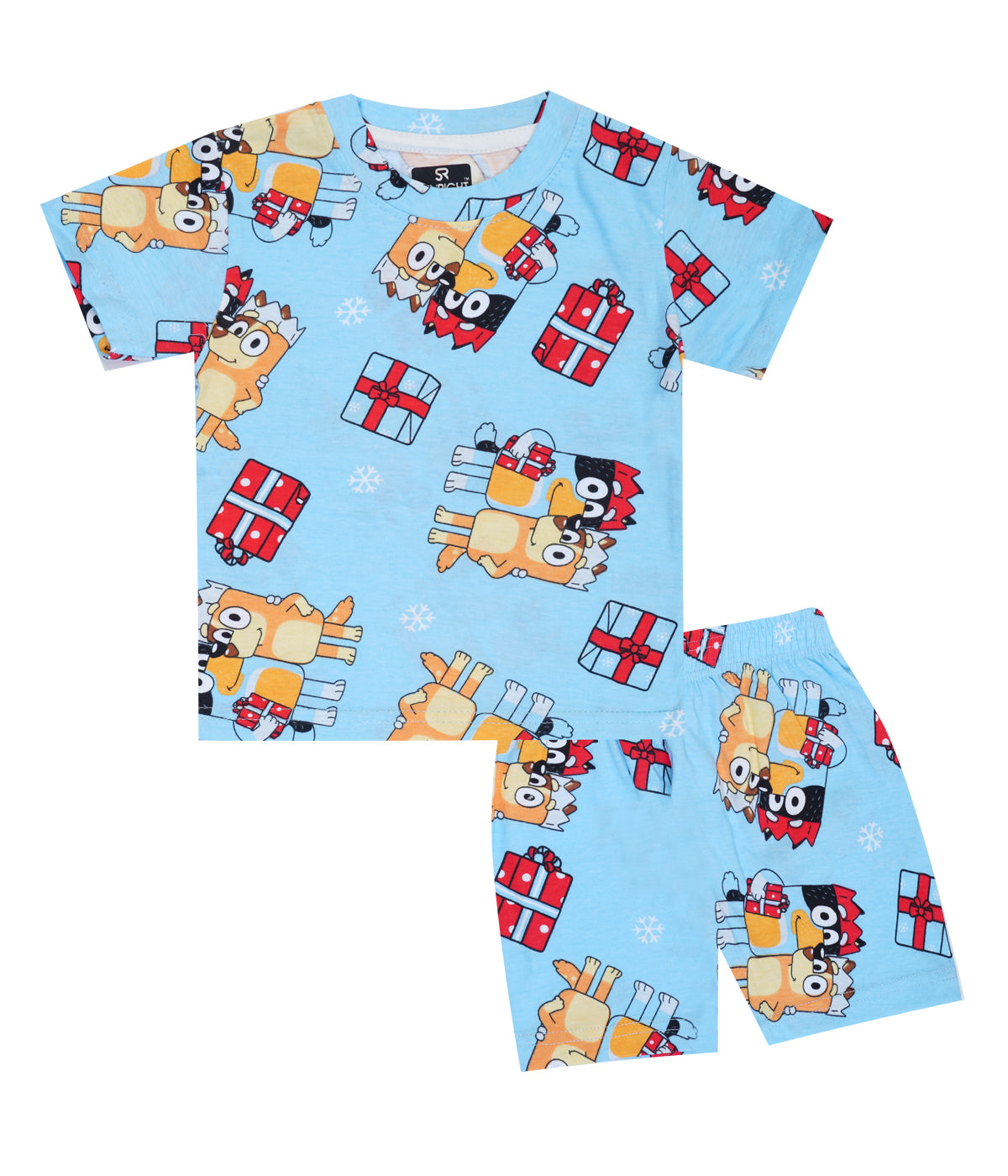 Shorts Sleeves Tshirt with Shorts Sets (Bluey Mincky) - sanright