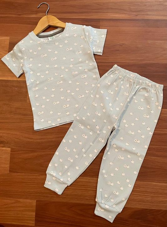 Premium Ribbed Shorts sleeves Tshirt with Pant (Blue Flower)