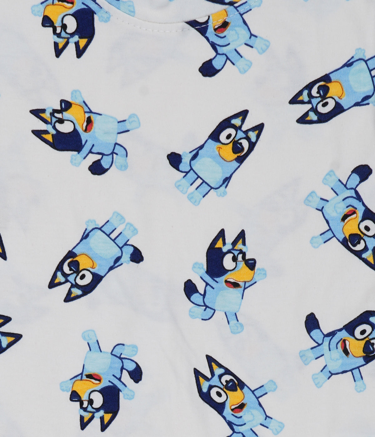 Shorts Sleeves Tshirt with Shorts Sets (White Bluey) - sanright