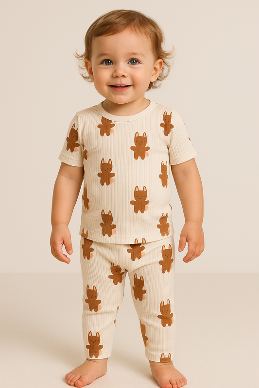Premium Ribbed Half sleeves Tshirt with Pant (Shadow Brown Bunny)(2-4 Yrs)